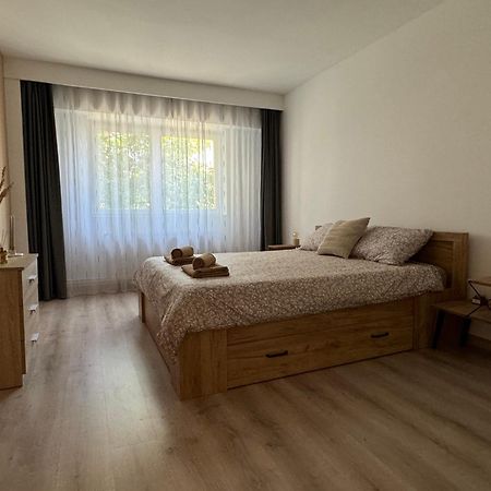 Lareina Apartament Cluj-Napoca Extérieur photo